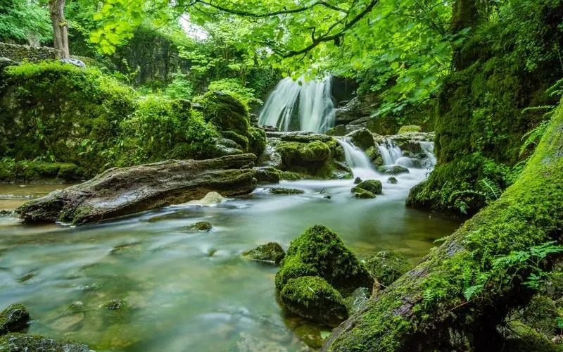 智能高效